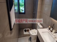 其它图