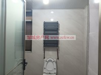其它图