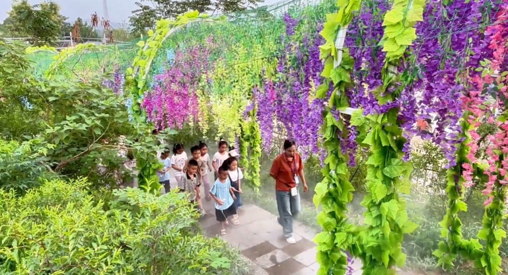 微信图片_20240715102051.png